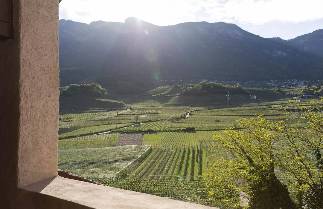 Ansitz Battisti Suites (Adults Only)-1
